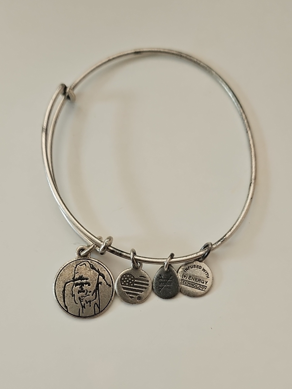 Silver-Tone womens Charm Bangle Bracelet - Silver. Ellen save the apes